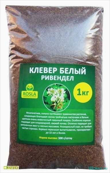 (белый, клевер, семена, полезные, свойства) Белый клевер семена — полезные свойства и применение