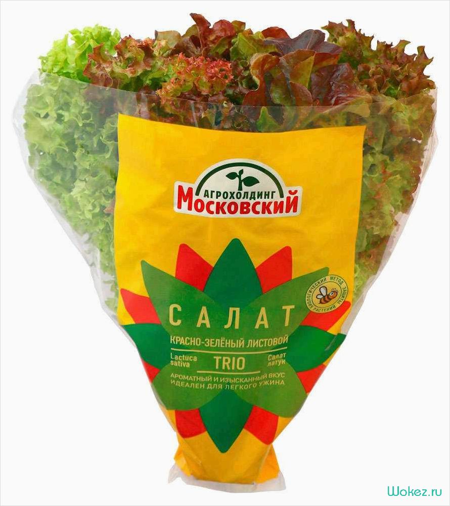 Салат 