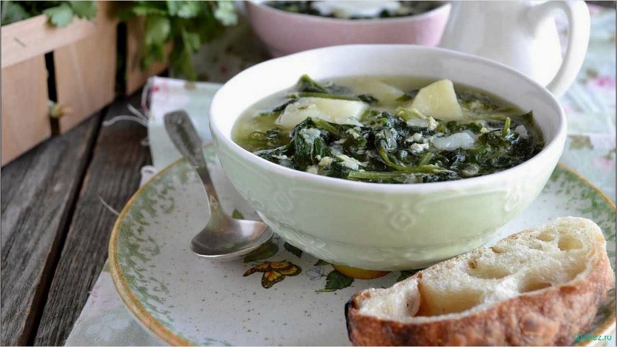 Щи из шпината — вкусное и полезное блюдо 
