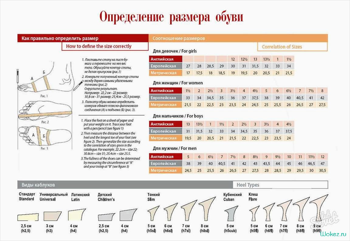 Измерение размера ноги — секрет успешного подбора идеальной обуви 