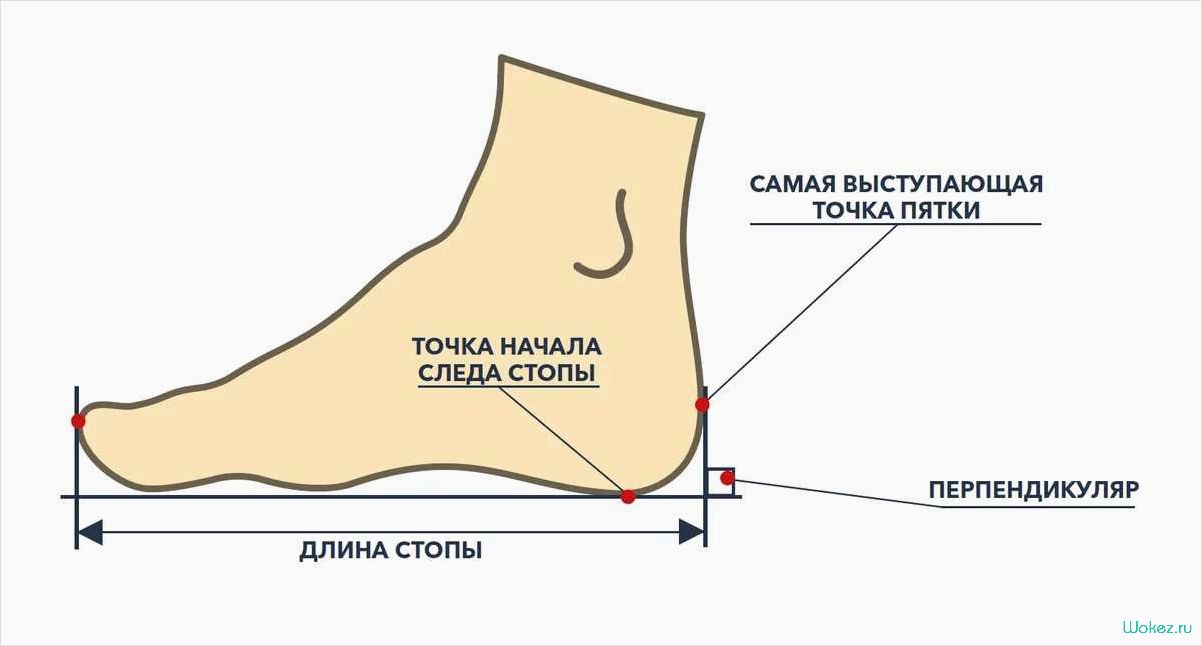 Измерение размера ноги — секрет успешного подбора идеальной обуви 