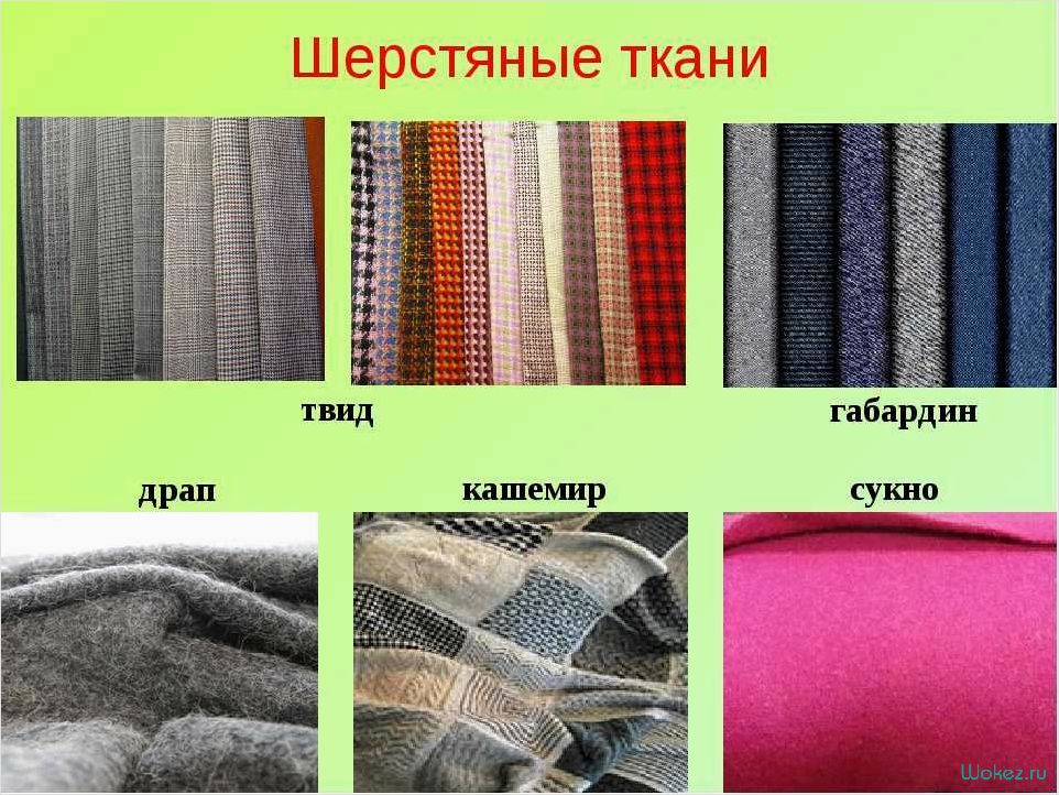 Плюш — состав, свойства материала и его применение в различных сферах