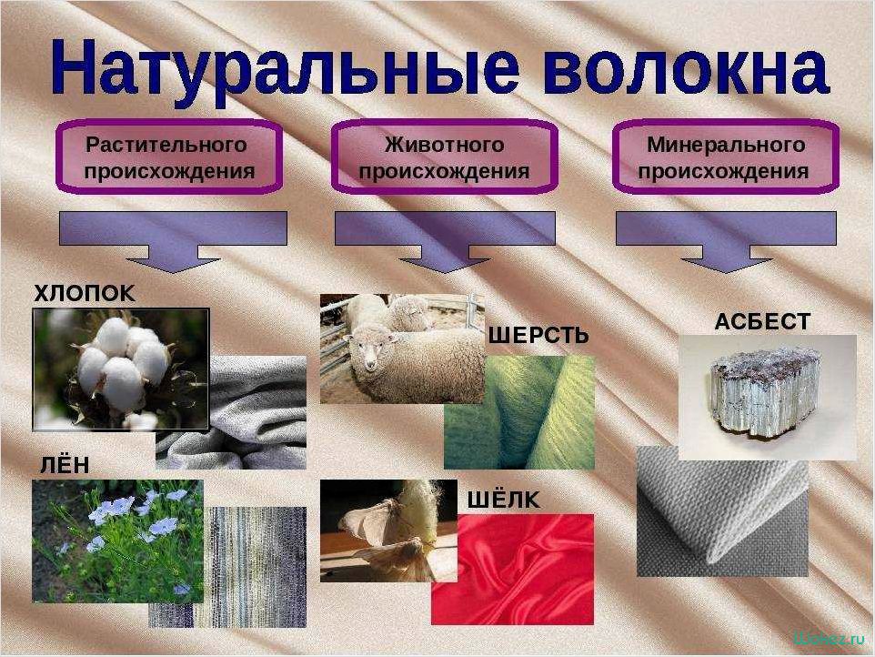 Плюш — состав, свойства материала и его применение в различных сферах