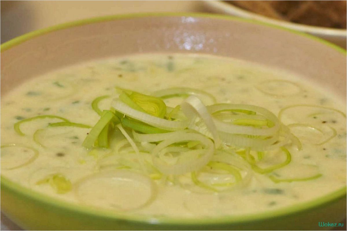 Быстрый и вкусный рецепт супа-пюре из свежего зеленого лука 