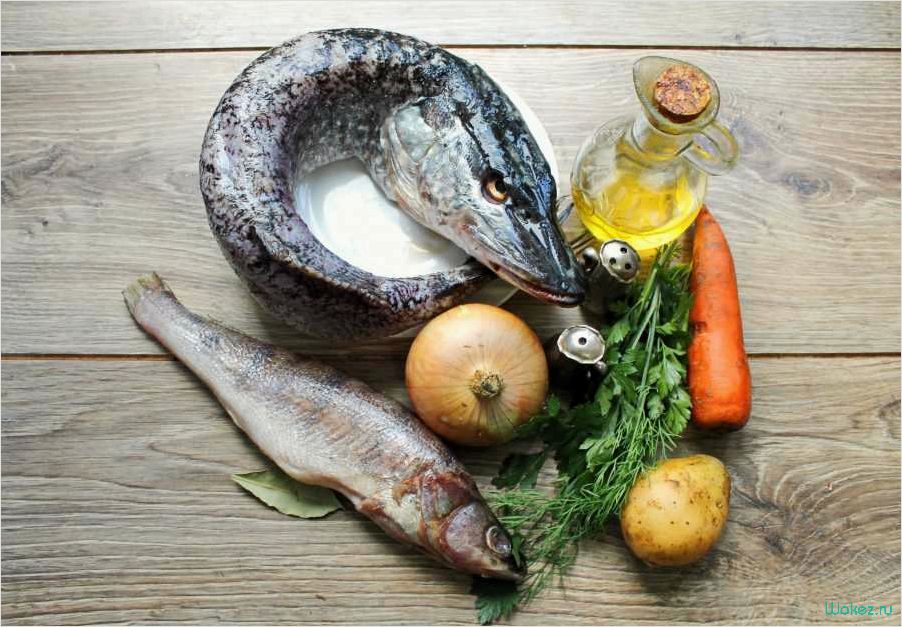 Уха из щуки — рецепт приготовления этого вкусного и питательного блюда  