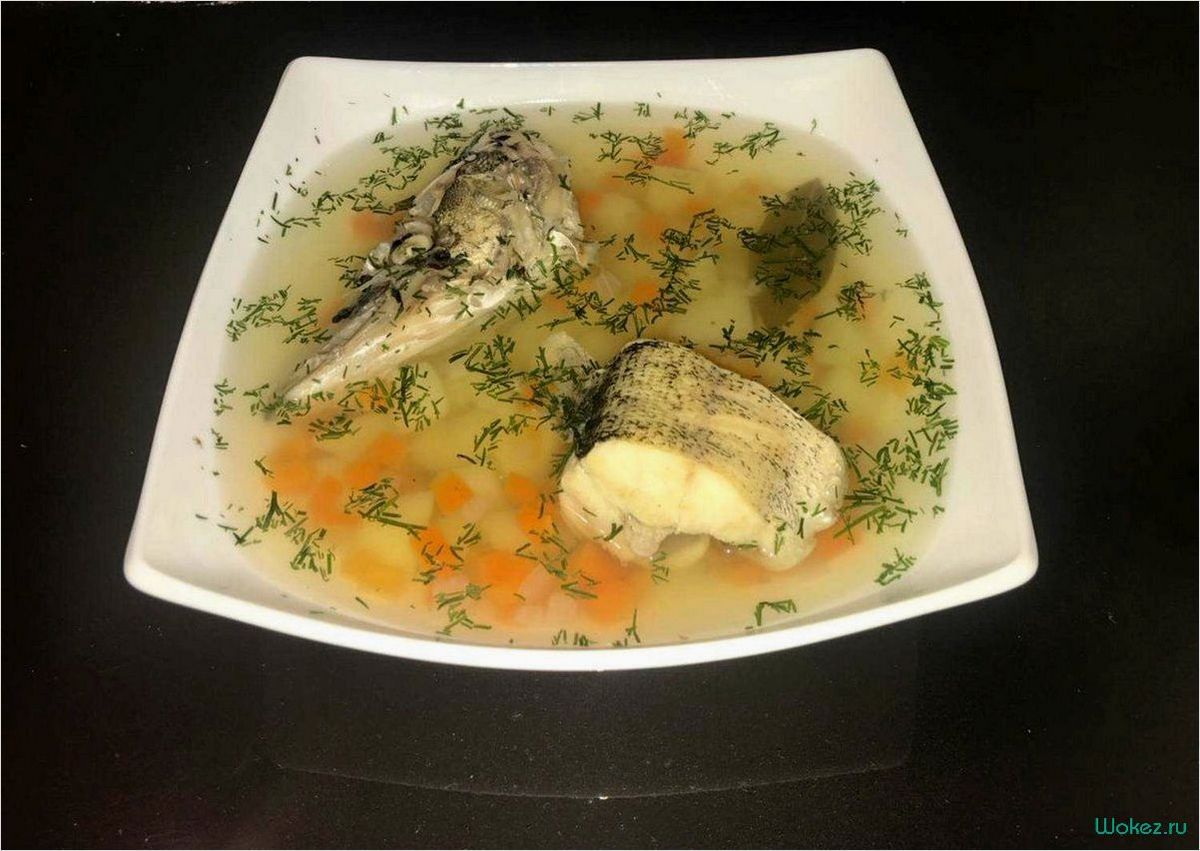 Уха из щуки — рецепт приготовления этого вкусного и питательного блюда  