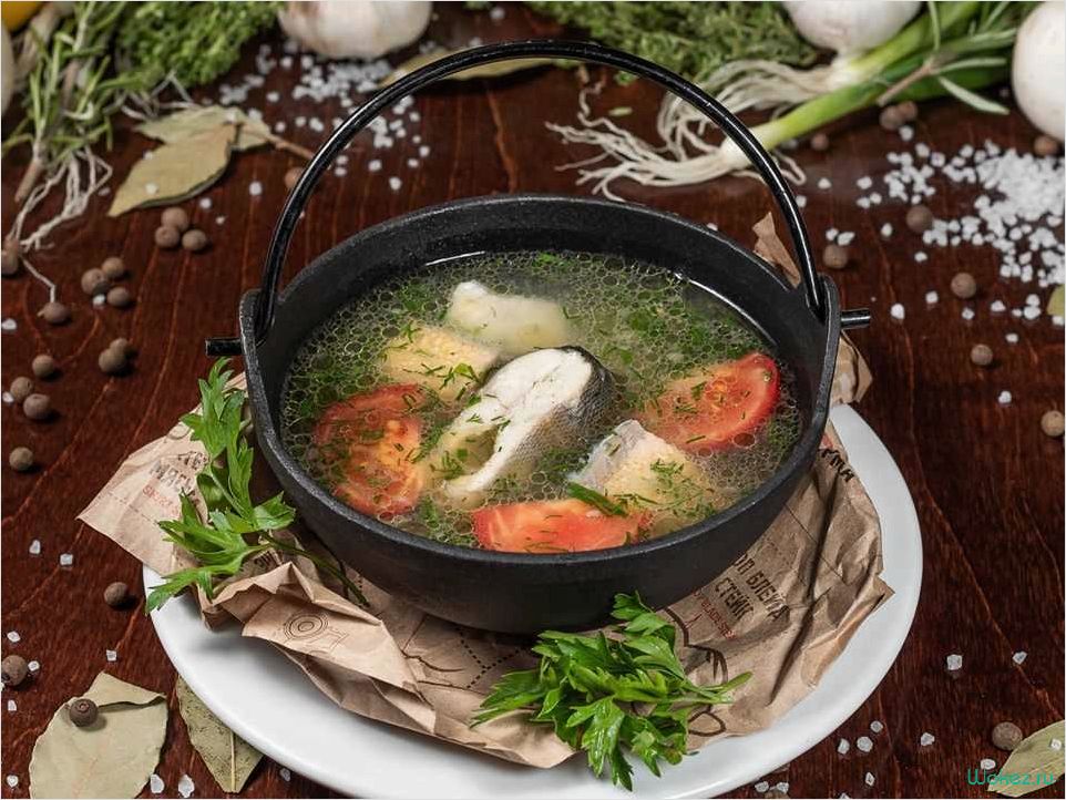 Уха из щуки — рецепт приготовления этого вкусного и питательного блюда  