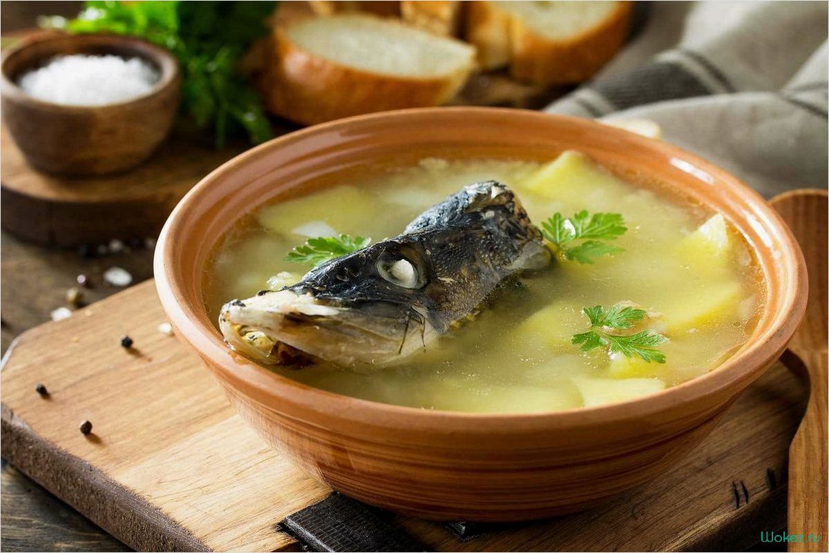 Уха из щуки — рецепт приготовления этого вкусного и питательного блюда  
